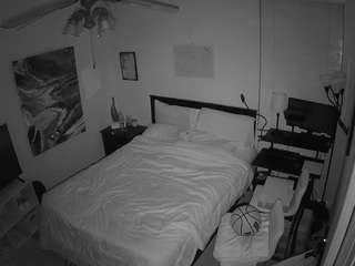 The Horny Hostel - Bedroom 2